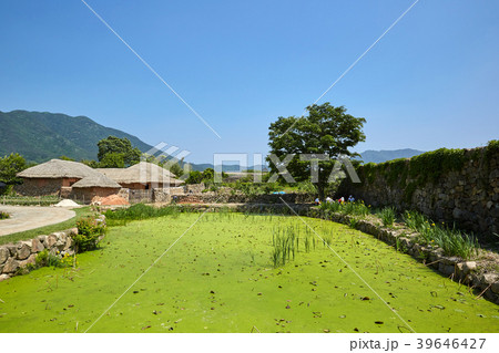 楽安邑城 木 山 39646427