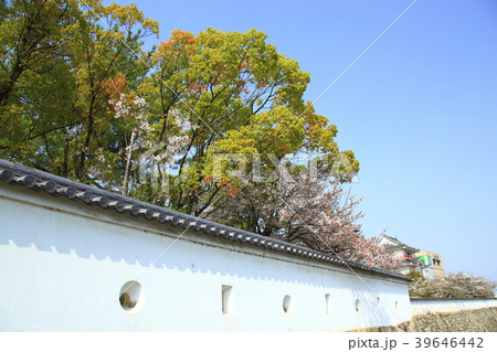 福山城 福山城 39646442