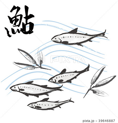 鮎の季節のイラスト素材 39646887 Pixta
