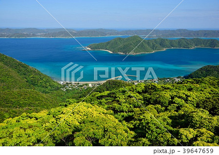 <奄美十景> 新緑の長雲峠からみる龍郷湾02 <奄美十景> 新緑の長雲峠からみる龍郷湾02 39647659