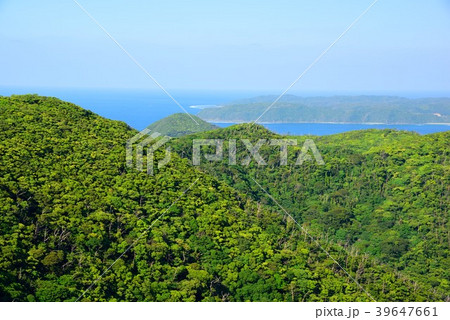＜奄美十景＞　新緑の長雲峠からみる龍郷湾04 39647661