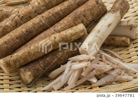 新鮮な牛蒡 39647781