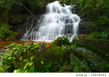 Beautiful waterfall with a pink flower in Thailand 39648563