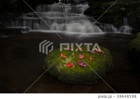 Beautiful waterfall with a pink flower in Thailand 39648598