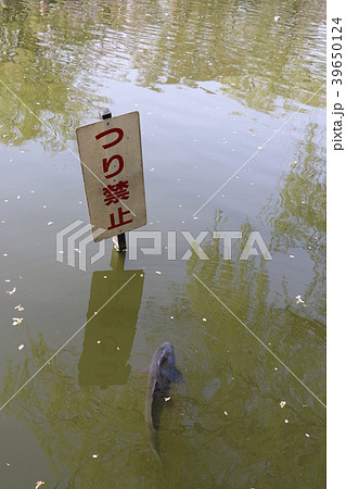 つり禁止 39650124