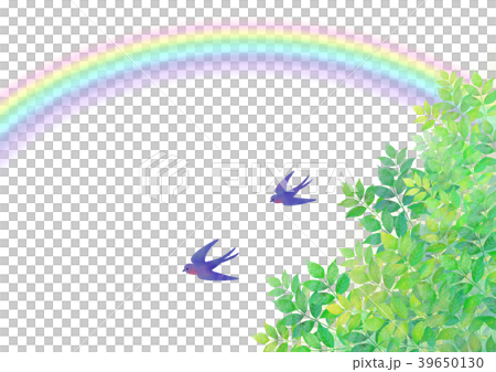 燕子和初夏彩虹 燕子和初夏彩虹 39650130