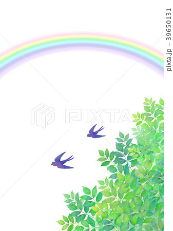 つばめと初夏の虹 つばめと初夏の虹 39650131