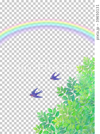 Swallow and early summer rainbow 39650131