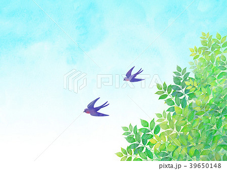 つばめと初夏の空 39650148