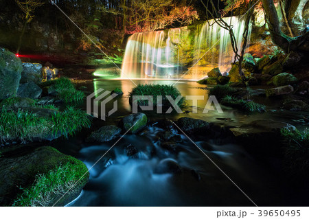 夜の鍋ヶ滝 39650495