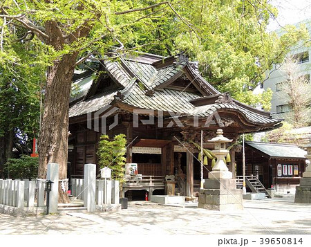 田無神社 田無神社 39650814