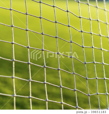 Soccer net on green live, on background of green 39651183