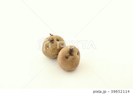 アンデス赤　種イモ 39652114