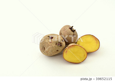 種イモ　アンデス 39652115