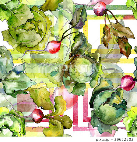 Red radish vegetables in a watercolor styl Red radish vegetables in a watercolor styl 39652502