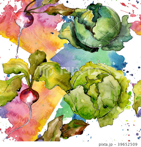Red radish vegetables in a watercolor styl Red radish vegetables in a watercolor styl 39652509