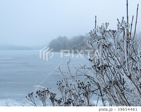 Winter 39654461