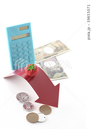 価格　生活費　出費 39655071