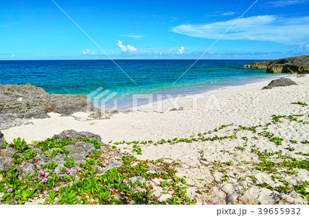 真夏の宮古島、来間島のプライベートビーチ 39655932
