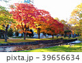 札幌・中島公園の秋景色 39656634