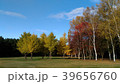 札幌・真駒内公園の紅葉 39656760