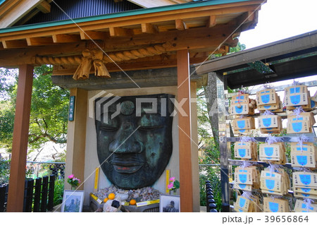 3月 上野72上野大仏・上野恩賜公園 3月 上野72上野大仏・上野恩賜公園 39656864