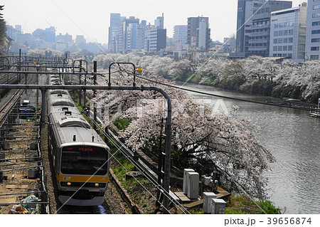 3月　飯田橋26満開の桜並木・外濠公園 39656874