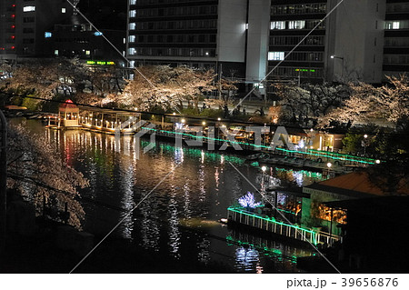 3月　飯田橋28外濠の桜ライトアップ・夜景 39656876