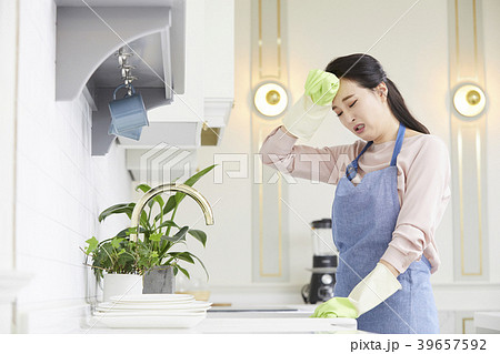 シンク 流し台 シンク台 39657592