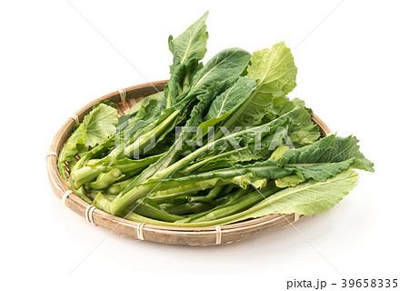 野沢菜の新芽 39658335