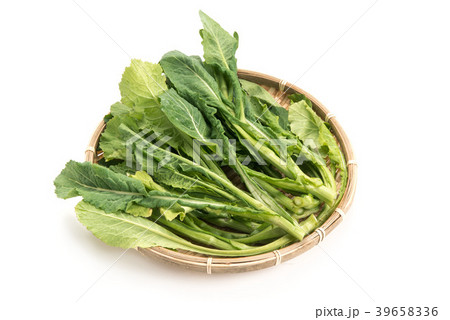 野沢菜の新芽 39658336