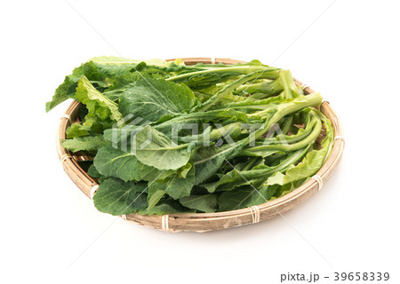 野沢菜の新芽 39658339