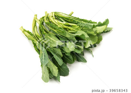 野沢菜の新芽 39658343