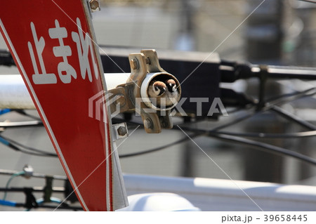 すずめのマイホーム 39658445