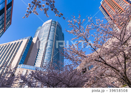 《東京都》春の六本木ヒルズ 39658508