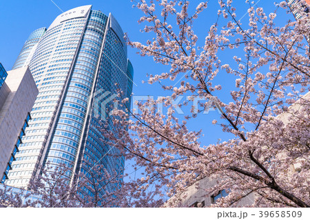《東京都》春の六本木ヒルズ 《東京都》春の六本木ヒルズ 39658509