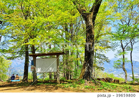 神奈川県秦野市　頭高山頂上の新緑と案内板 39659800