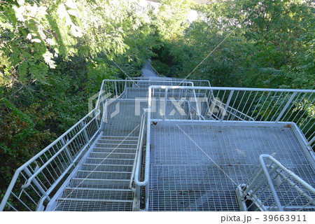 森の中の階段 39663911