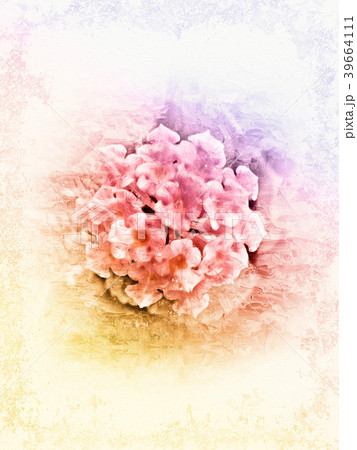 flower blooming on colorful watercolor painting flower blooming on colorful watercolor painting 39664111