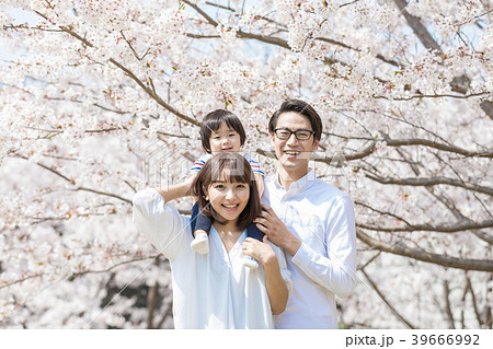 桜　家族 39666992