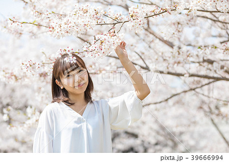 桜　女性 39666994