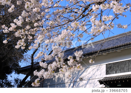 【東京都】桜と田安門 39668705