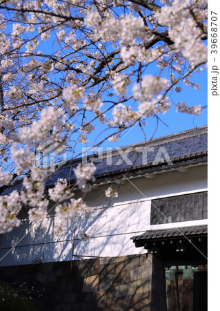 【東京都】桜と田安門 39668707