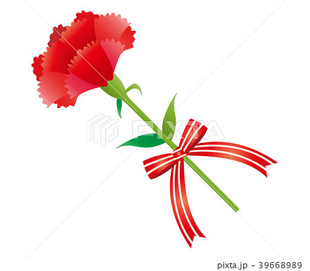 カーネーション2 カーネーション2 39668989