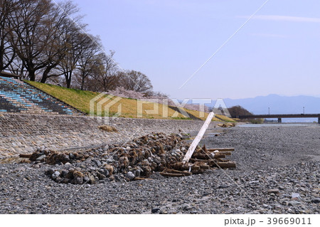 【山梨県】信玄堤の聖牛 39669011
