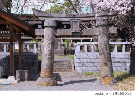 【山梨県】甲斐市 桜満開の三社神社 【山梨県】甲斐市 桜満開の三社神社 39669016