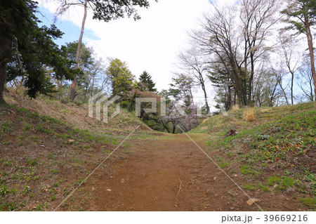 【山梨県】新府城跡　大手枡形虎口跡 39669216