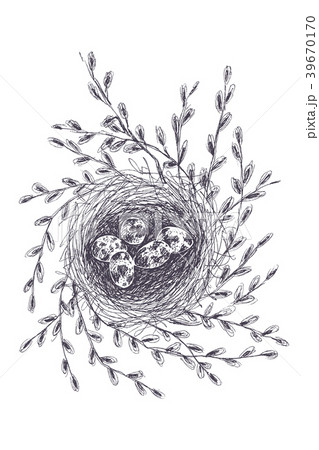 Vector illustration of hand drawn nest with 39670170