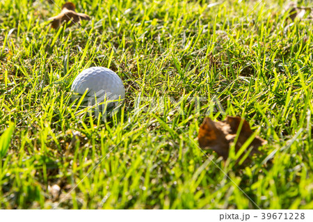 Golf ball on grass 39671228