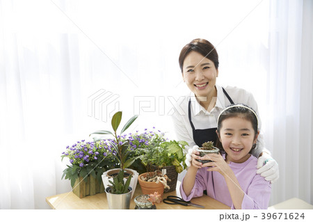 ママ 母 お母さん 39671624